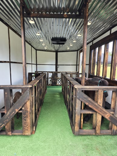 Gallery photo 1 of Tiny Tails Mobile Petting Zoo