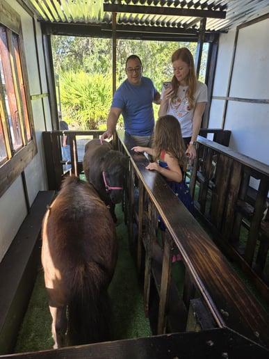 Gallery photo 2 of Tiny Tails Mobile Petting Zoo