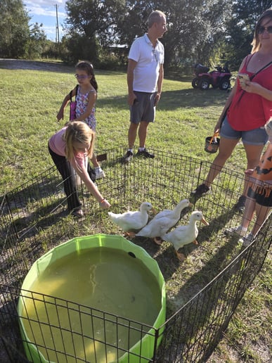 Gallery photo 3 of Tiny Tails Mobile Petting Zoo