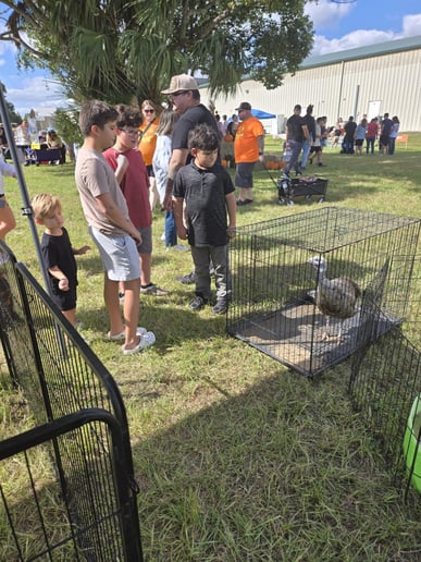 Gallery photo 6 of Tiny Tails Mobile Petting Zoo