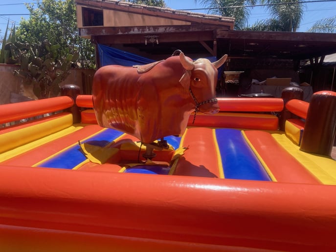 Gallery photo 1 of Tito's Toros