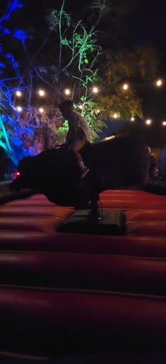 Gallery photo 4 of Tito's Toros