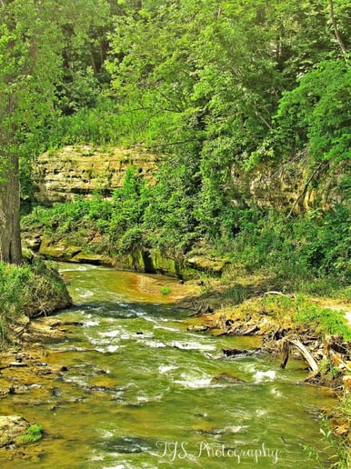 Gallery photo 1 of TJS-Photography.