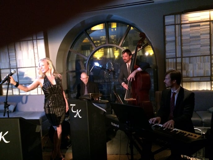 Gallery photo 3 of TKO Party Trio Band Plus More