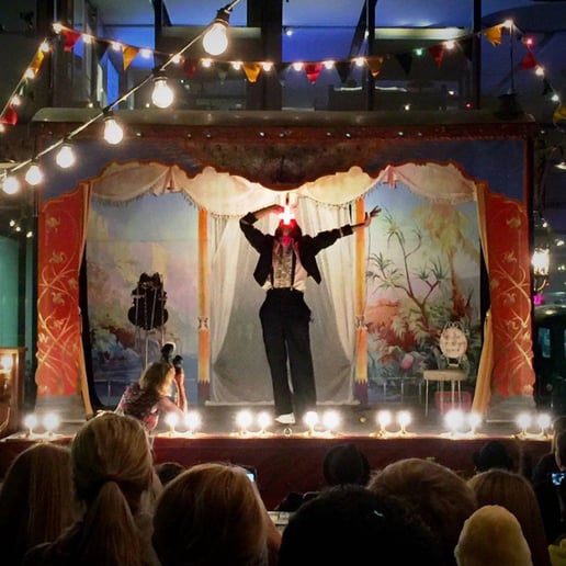 Gallery photo 6 of Tobias and the Traveling Spectacular
