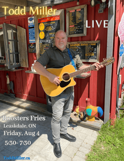 Gallery photo 3 of Todd Miller Singer/Songwriter/Performer