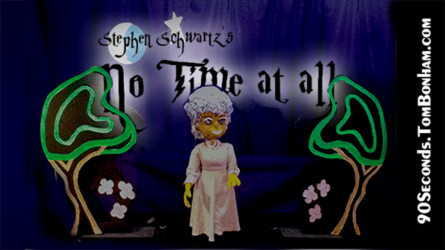 Gallery photo 9 of Tom Bonham Puppet and Marionette Productions