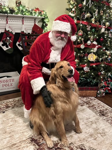 Gallery photo 6 of Tom Santa