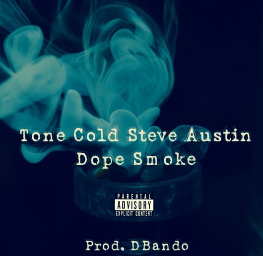 Gallery photo 5 of Tone Cold Steve Austin
