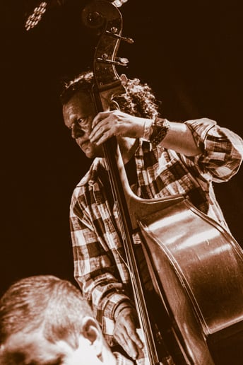 Gallery photo 1 of Tonewood Stringband