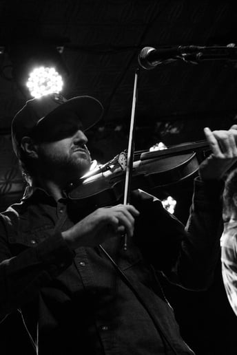 Gallery photo 2 of Tonewood Stringband