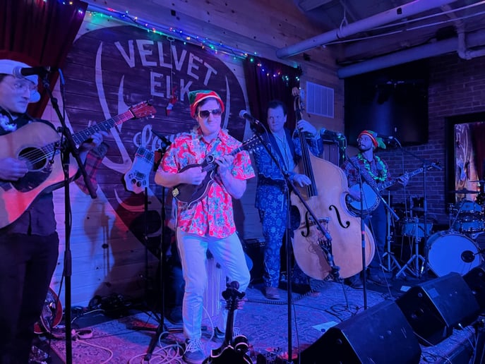 Gallery photo 8 of Tonewood Stringband