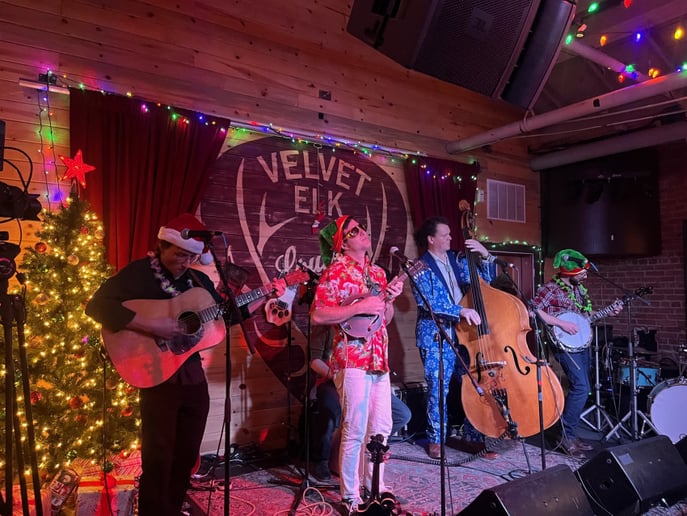 Gallery photo 9 of Tonewood Stringband