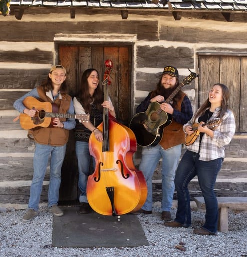 Gallery photo 3 of Tony John and the Flatland String Band