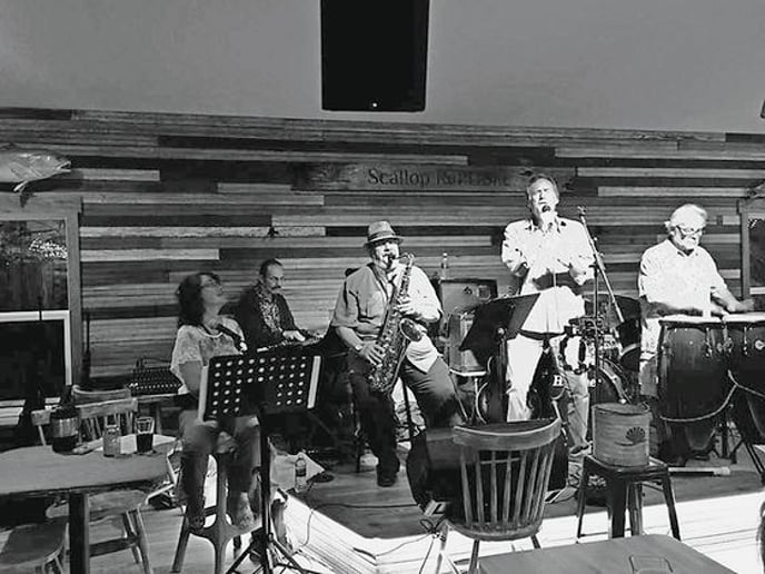 Gallery photo 6 of Tony Partington & The Recollections