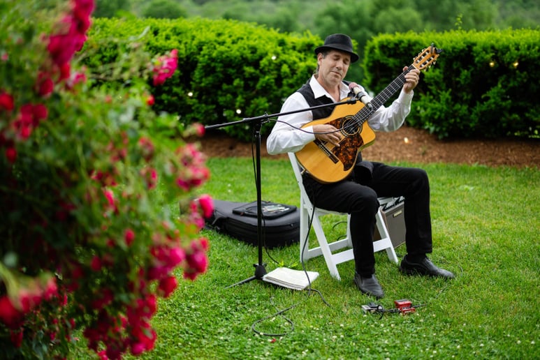 Gallery photo 5 of Tony Silva Spanish Guitar