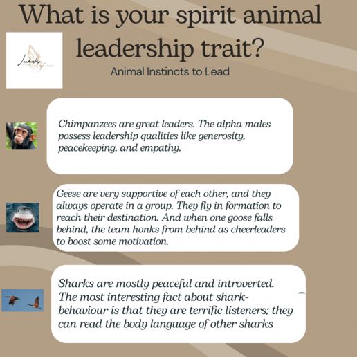 Gallery photo 35 of Inspirational Strategist