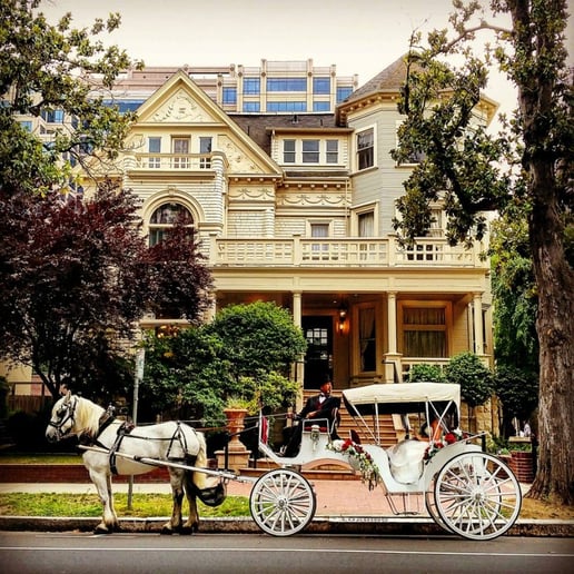 Gallery photo 3 of Top Hand Ranch carriage service
