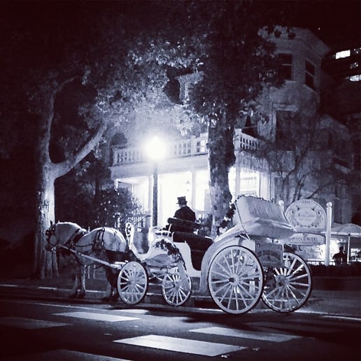 Gallery photo 2 of Top Hand Ranch carriage service