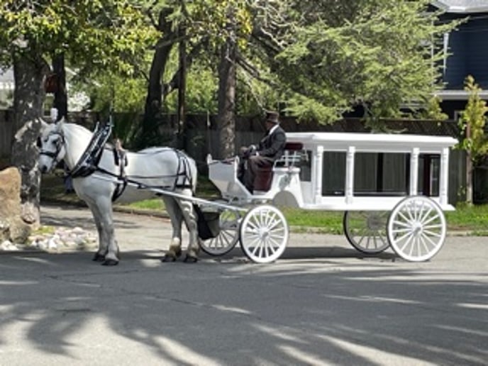 Gallery photo 8 of Top Hand Ranch carriage service