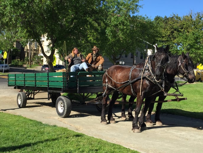 Gallery photo 12 of Top Hand Ranch carriage service
