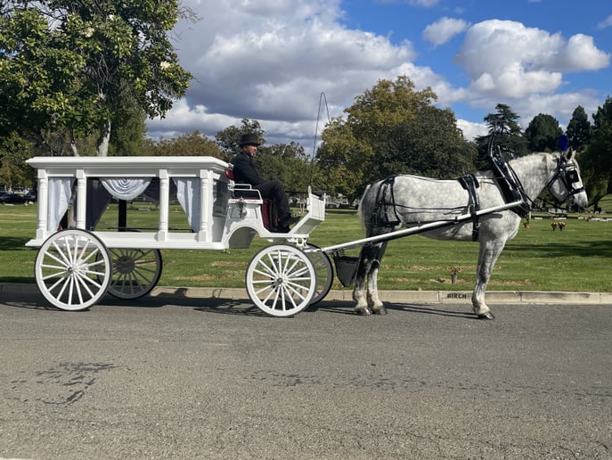Gallery photo 7 of Top Hand Ranch carriage service