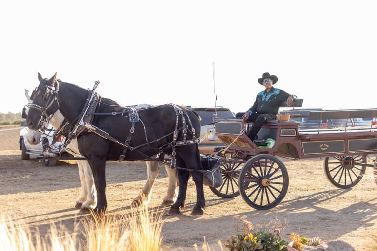 Gallery photo 13 of Top Hand Ranch carriage service