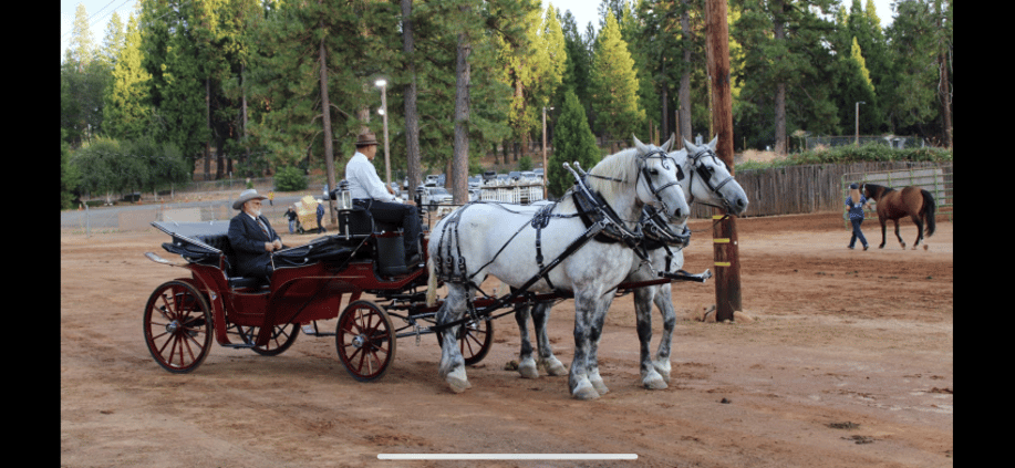 Gallery photo 16 of Top Hand Ranch carriage service