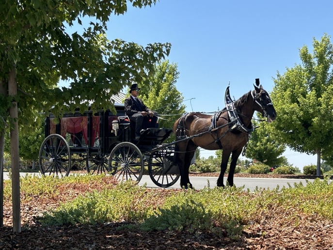 Gallery photo 17 of Top Hand Ranch carriage service