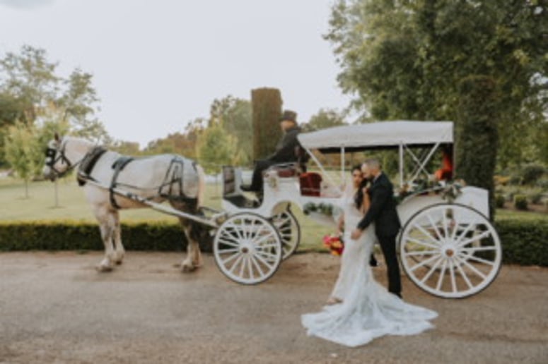 Gallery photo 19 of Top Hand Ranch carriage service