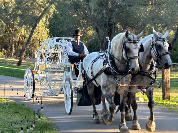 Gallery photo 18 of Top Hand Ranch carriage service