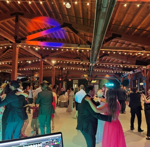 Gallery photo 4 of DJ Fidel