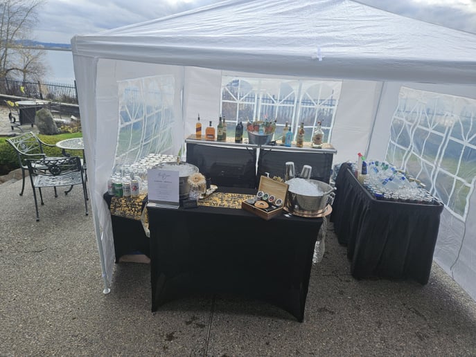 Gallery photo 3 of Top Notch Party and Event Services