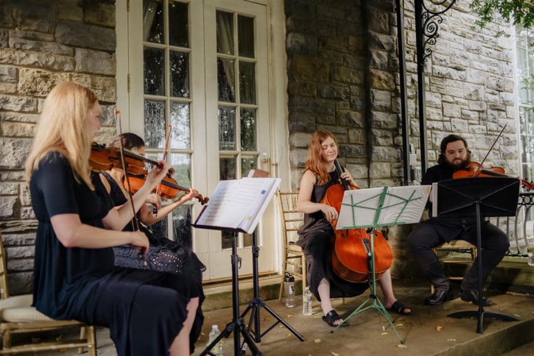 Gallery photo 3 of Patrick Monnius, Strings