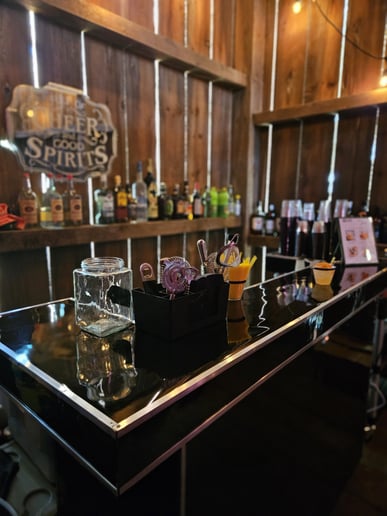 Gallery photo 8 of Top Shelf Bartend