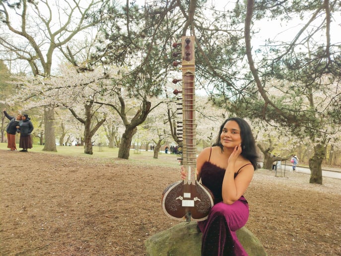 Gallery photo 2 of Toronto Sitar