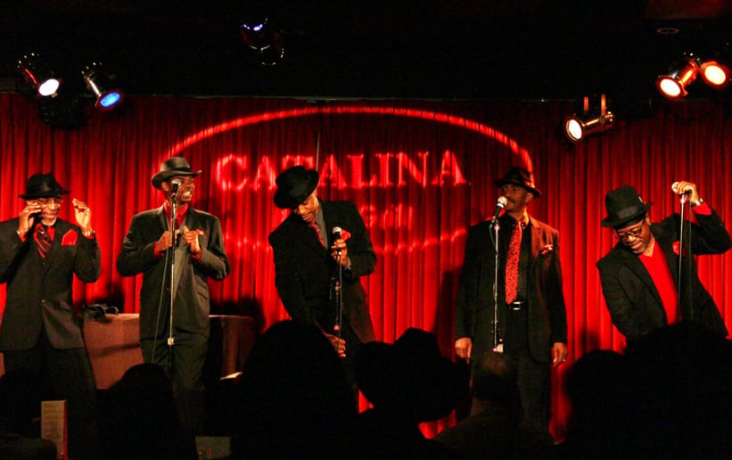 Gallery photo 2 of Torrence BRANNON & Everything with Soul