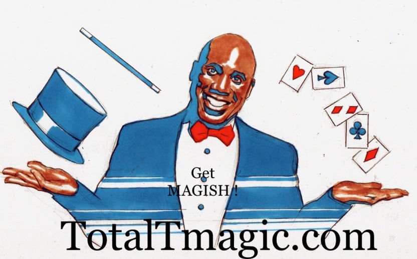 Gallery photo 2 of Total-T Magic by Terrence Hunter