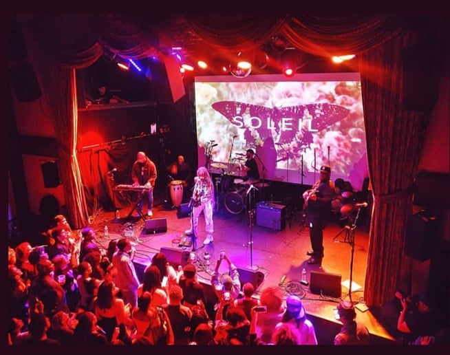 Gallery photo 1 of Touring Musician