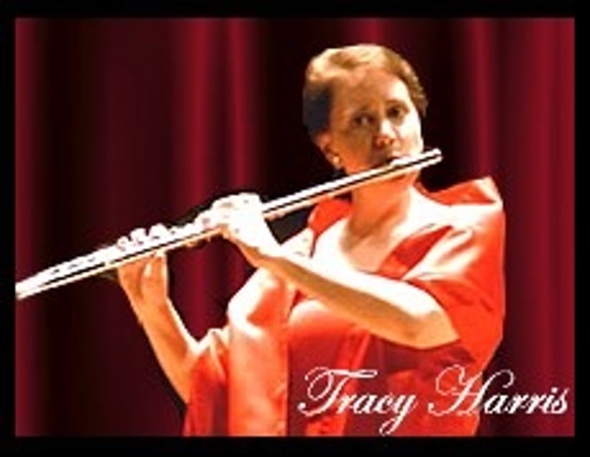Gallery photo 3 of Tracy Harris/Wyndfall Duo