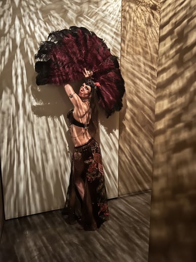 Gallery photo 1 of Tracy Windisch Belly Dance