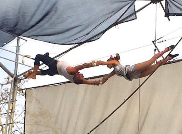 Gallery photo 3 of Trapeze High