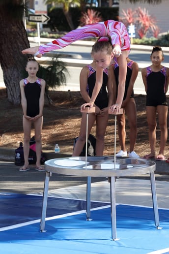 Gallery photo 4 of Trapeze High