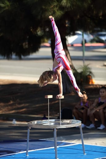 Gallery photo 5 of Trapeze High
