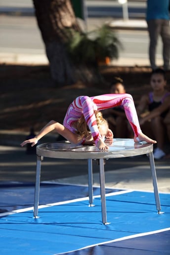 Gallery photo 6 of Trapeze High