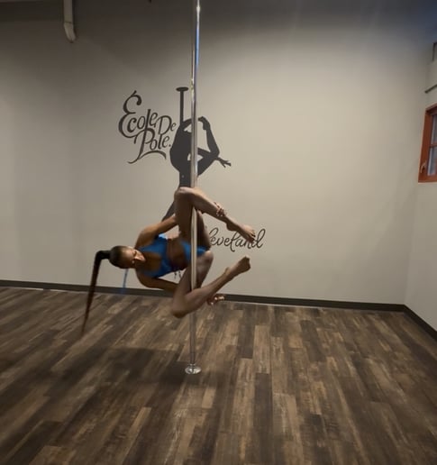 Gallery photo 1 of Traveling Polelightly