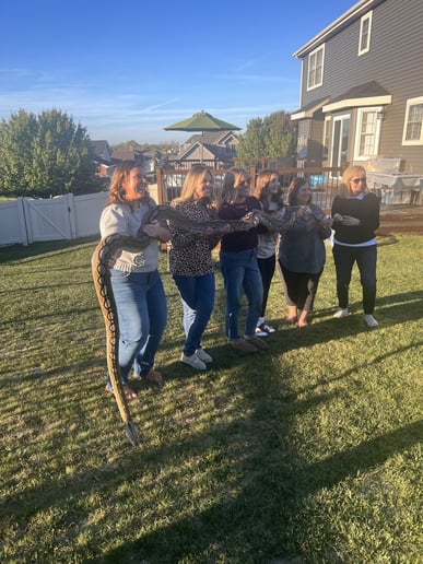 Gallery photo 9 of Traveling Reptile Show Exotic Summit