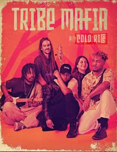 Gallery photo 9 of Tribe Mafia