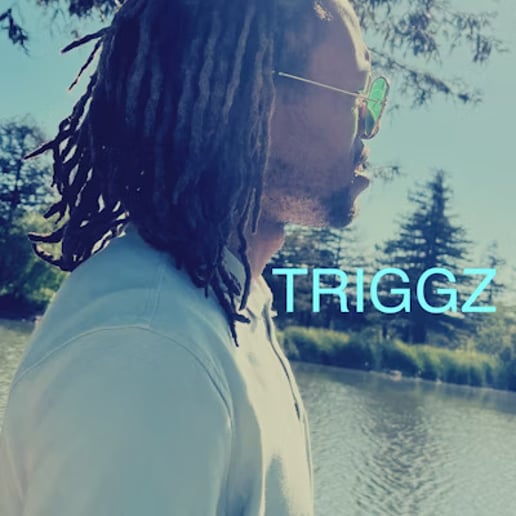 Gallery photo 2 of Triggz World