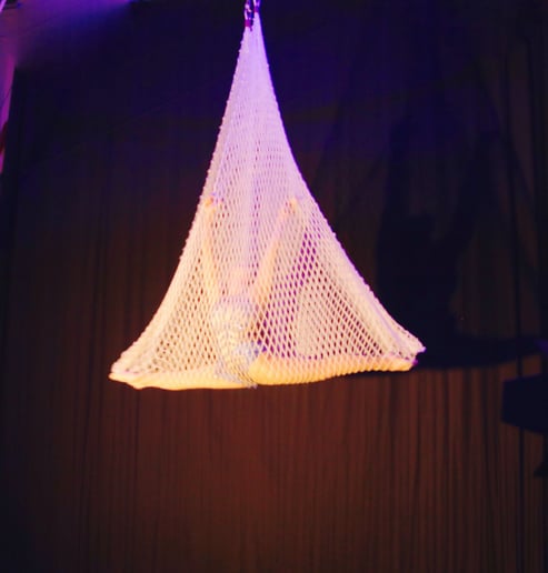 Gallery photo 9 of Trillium Entertainment